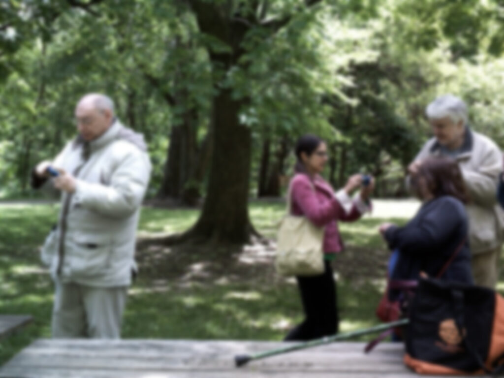 intentionally blurry photo of small group of adults in wooded setting communicating through ASL